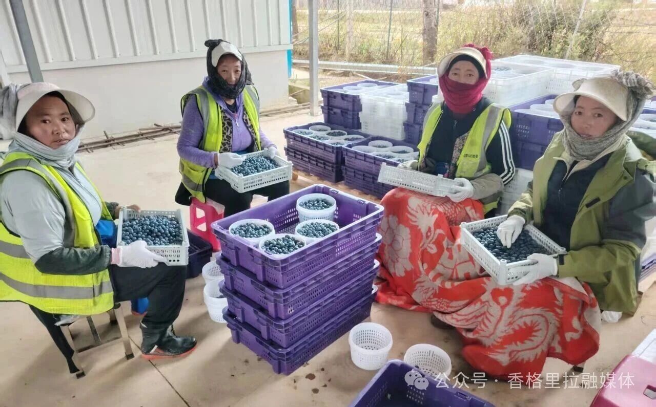 1759195435955023277.jpg 微信图片_2025-09-30_093246_590.jpg