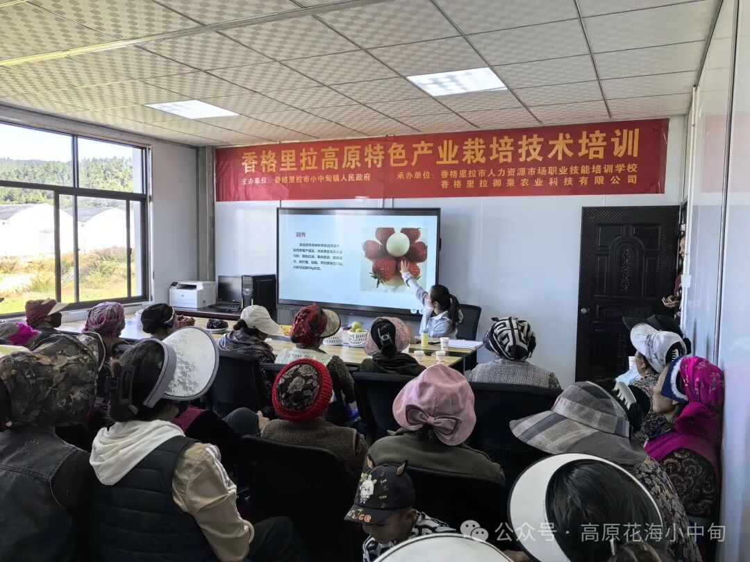 1759195510890014013.jpg 微信图片_2025-09-30_093401_720.jpg