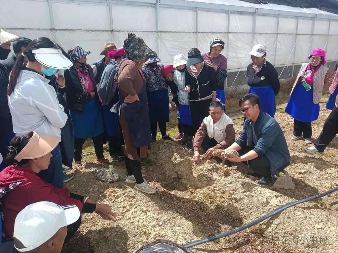 1759195522541007829.jpg 微信图片_2025-09-30_093404_196.jpg