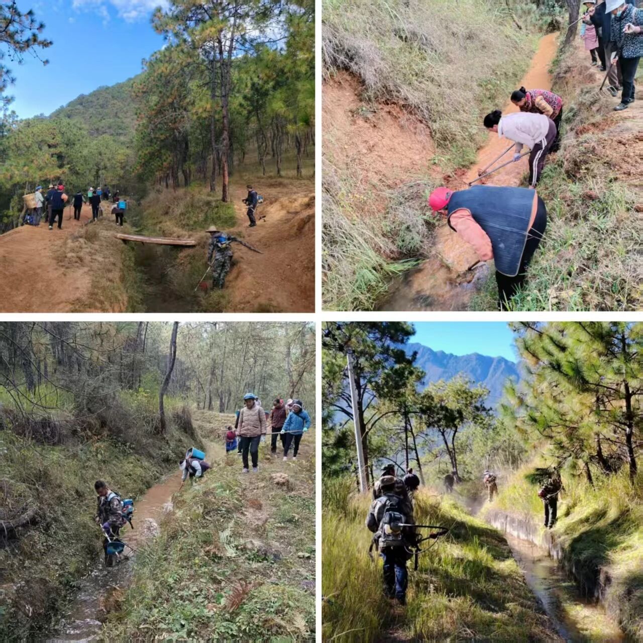 1763971848285000946.jpg 微信图片_2025-11-24_162004_677.jpg