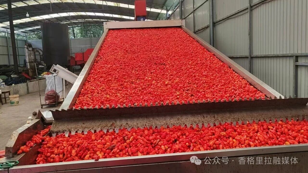 1763973237195065387.jpg 微信图片_2025-11-24_164258_449.jpg