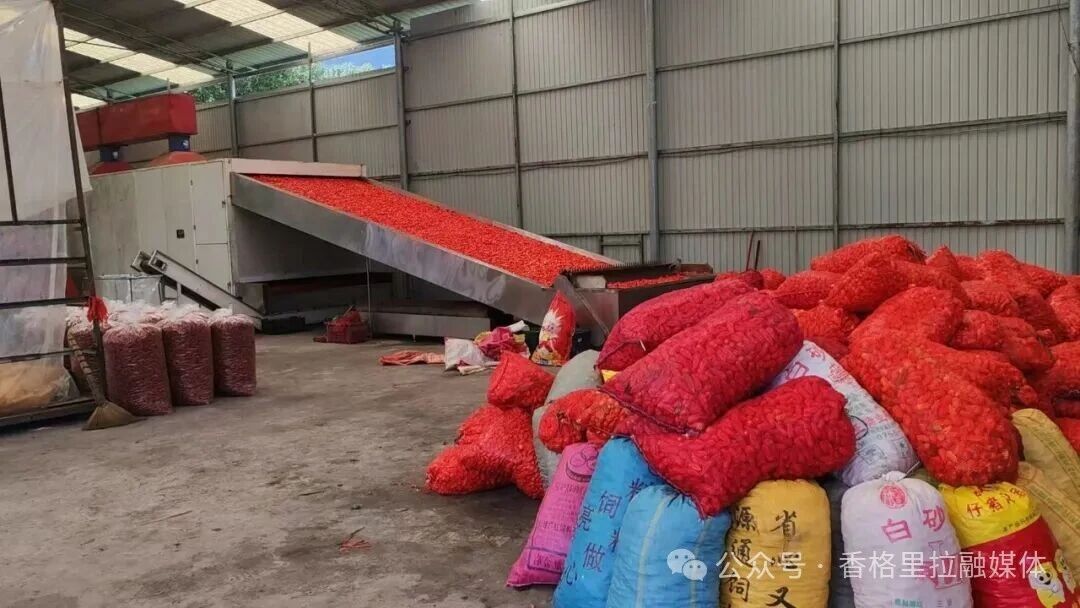 1763973434247012551.jpg 微信图片_2025-11-24_164609_405.jpg