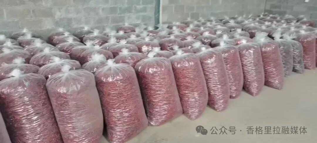 1763973446193066322.jpg 微信图片_2025-11-24_164612_093.jpg