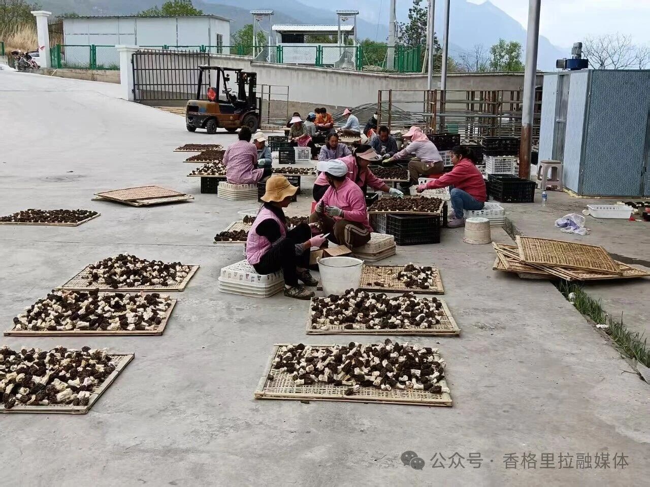 1763973990003021216.jpg 微信图片_2025-11-24_165536_252.jpg