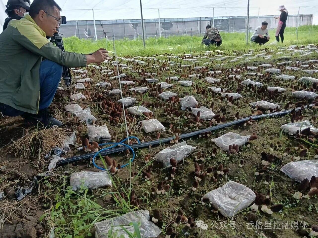 1763974017234075133.jpg 微信图片_2025-11-24_165542_996.jpg