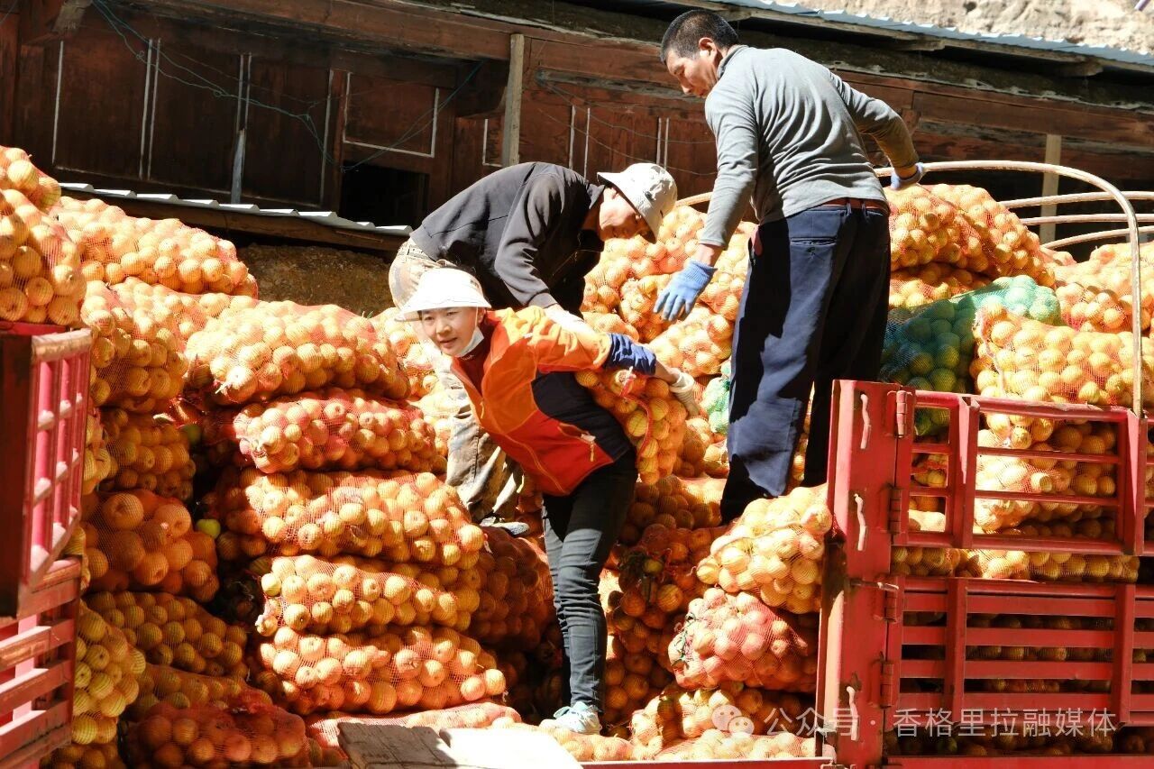 1763974111254069801.jpg 微信图片_2025-11-24_165742_167.jpg