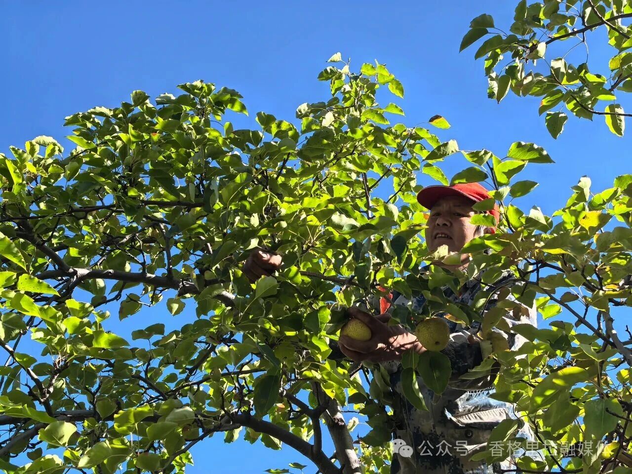 1763974126476069009.jpg 微信图片_2025-11-24_165745_019.jpg