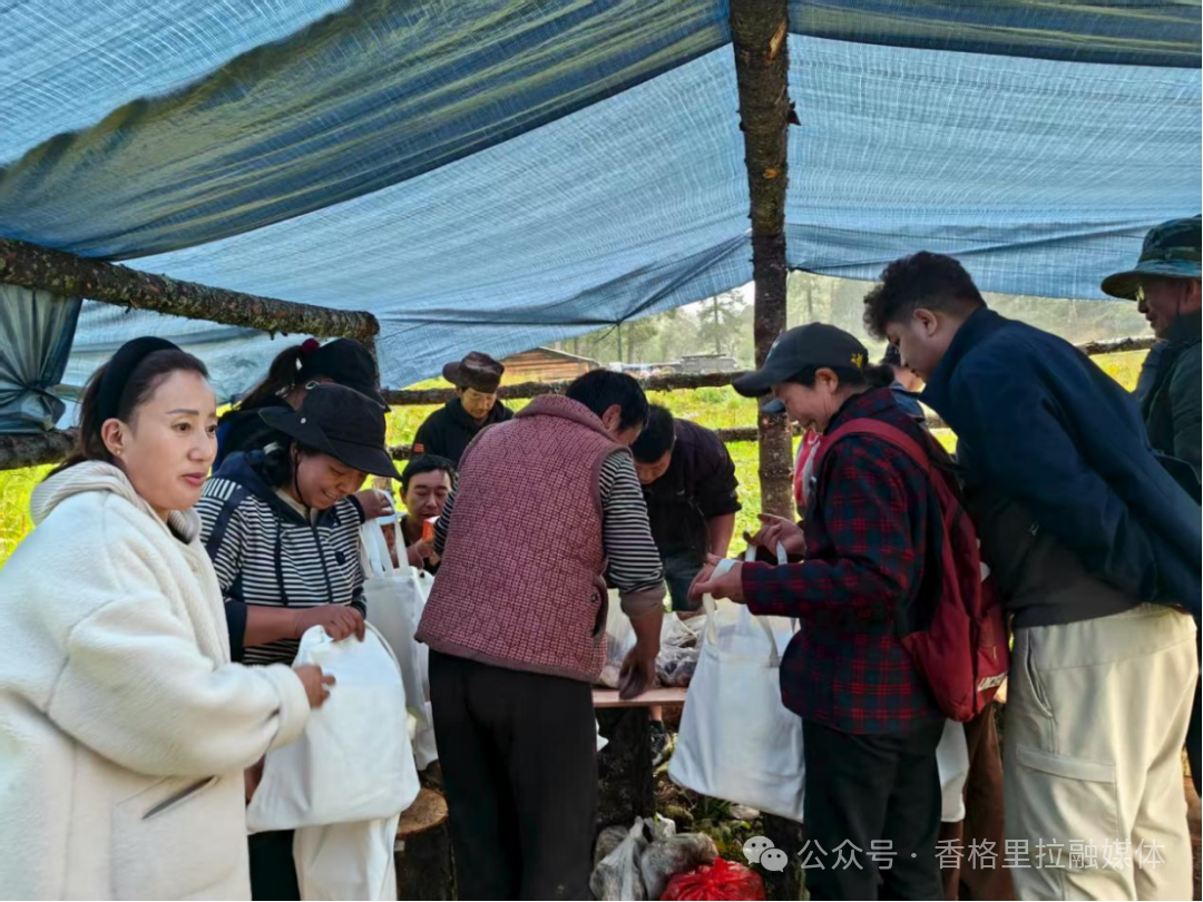 1763974505684035427.png 微信图片_2025-11-24_170403_989.png