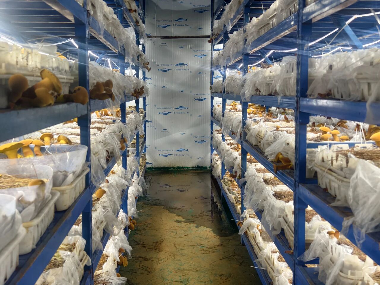 1765332250791051458.jpg 微信图片_2025-12-10_101333_613.jpg