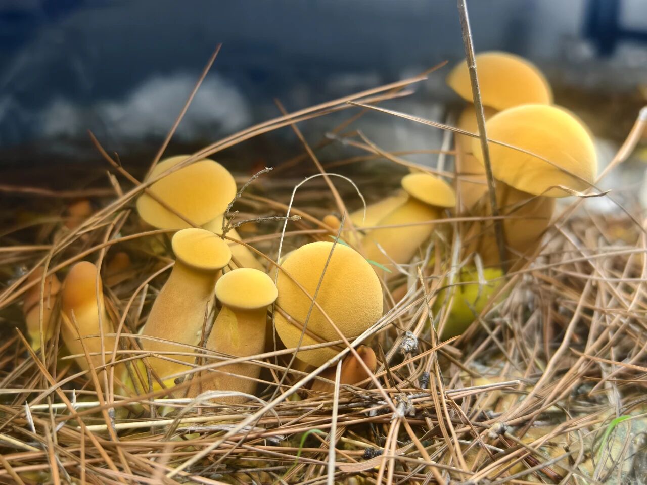 1765332286788043188.jpg 微信图片_2025-12-10_101345_563.jpg