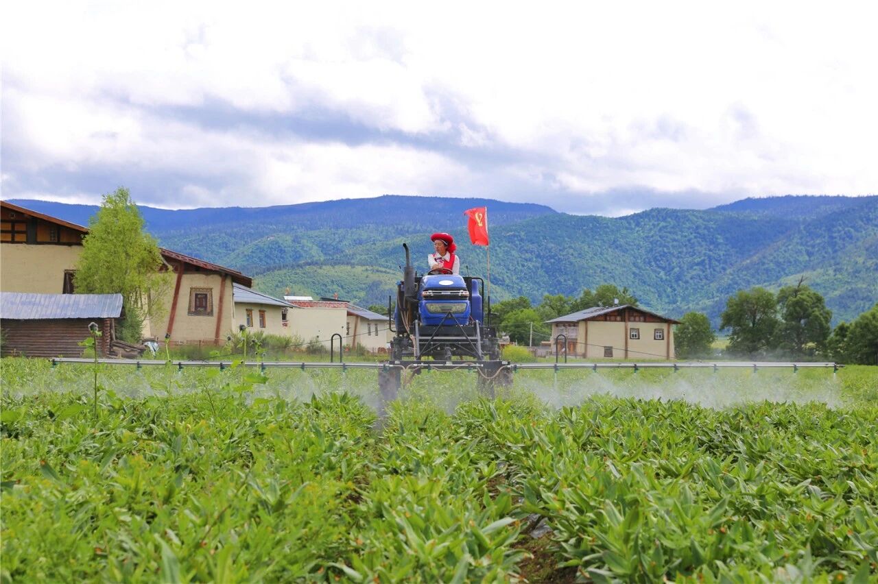 1766560232129020012.jpg 微信图片_2025-12-24_151957_138.jpg