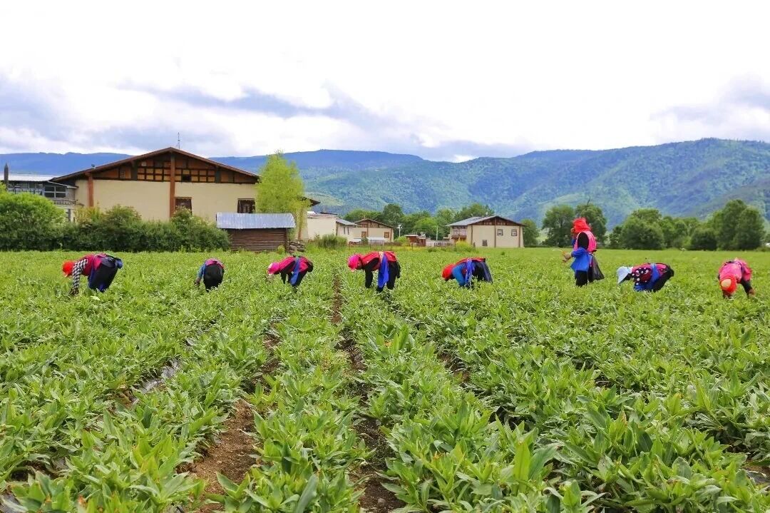 1766560258497037641.jpg 微信图片_2025-12-24_152006_308.jpg