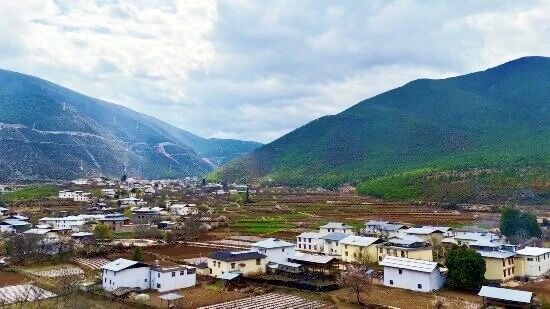 1767491999906088716.jpg 微信图片_2026-01-04_100933_378.jpg