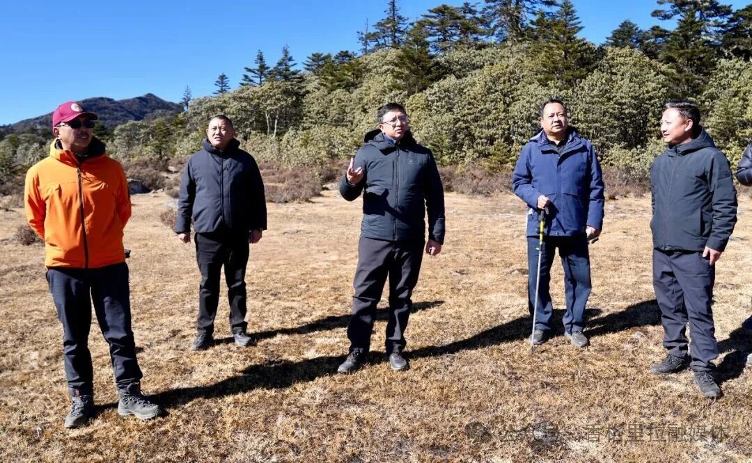 黄龙新到小中甸镇调研重点交通项目并开展巡林巡湖工作