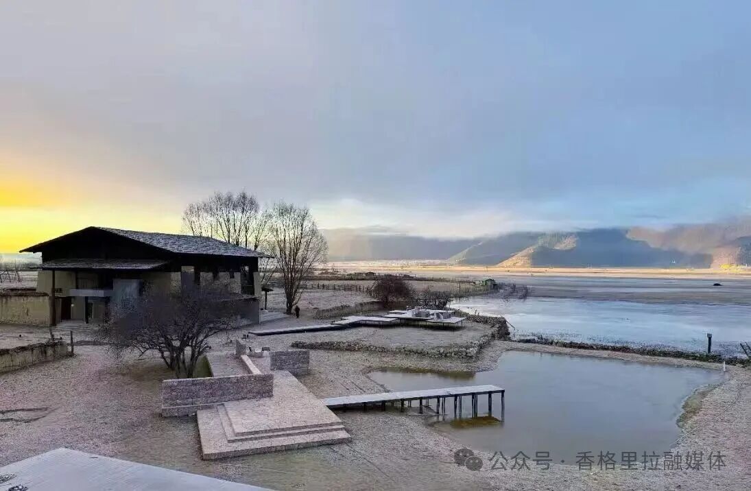 1768353928045086319.jpg 微信图片_2026-01-14_093508_272.jpg