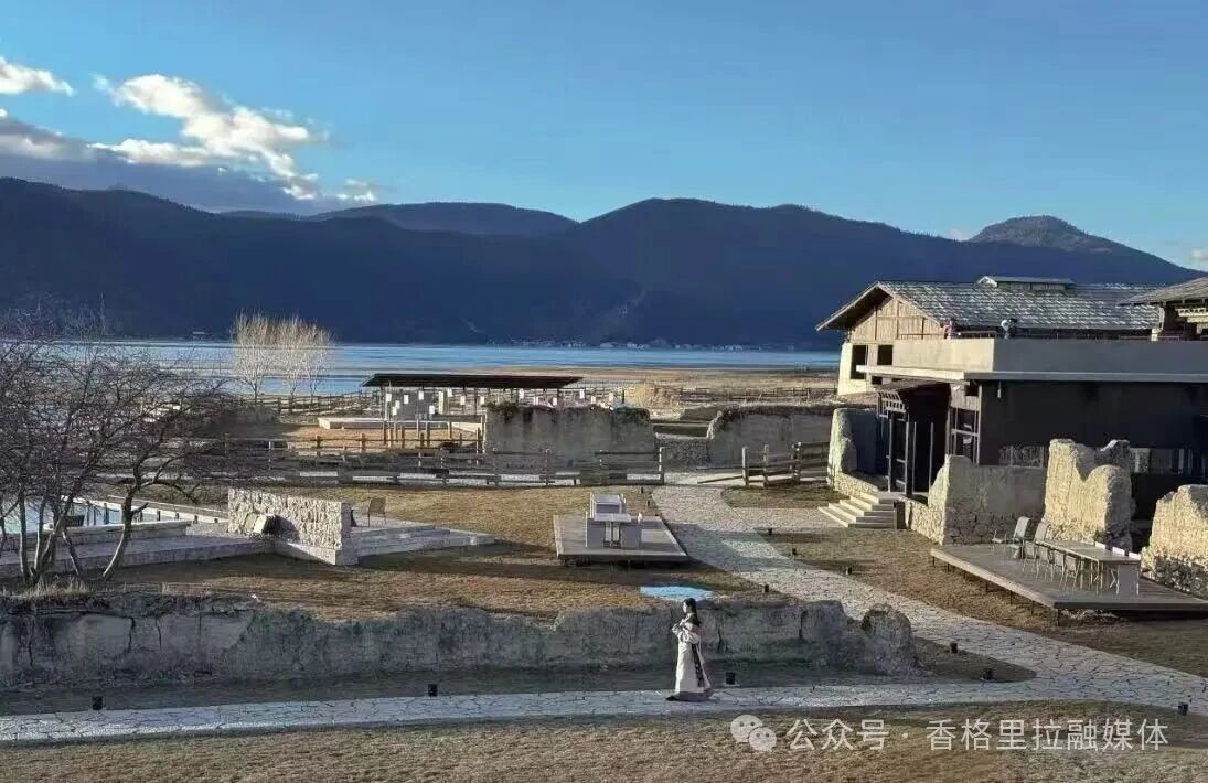 1768353939391040472.jpg 微信图片_2026-01-14_093511_361.jpg