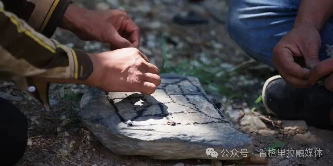 1768354029002051447.jpg 微信图片_2026-01-14_093640_360.jpg