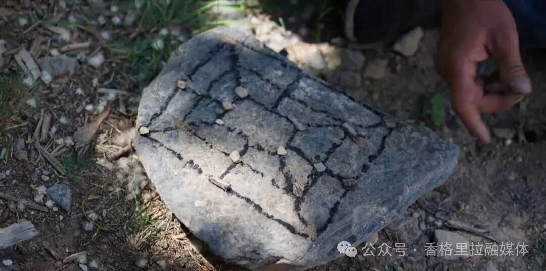 1768354041360053198.jpg 微信图片_2026-01-14_093643_225.jpg