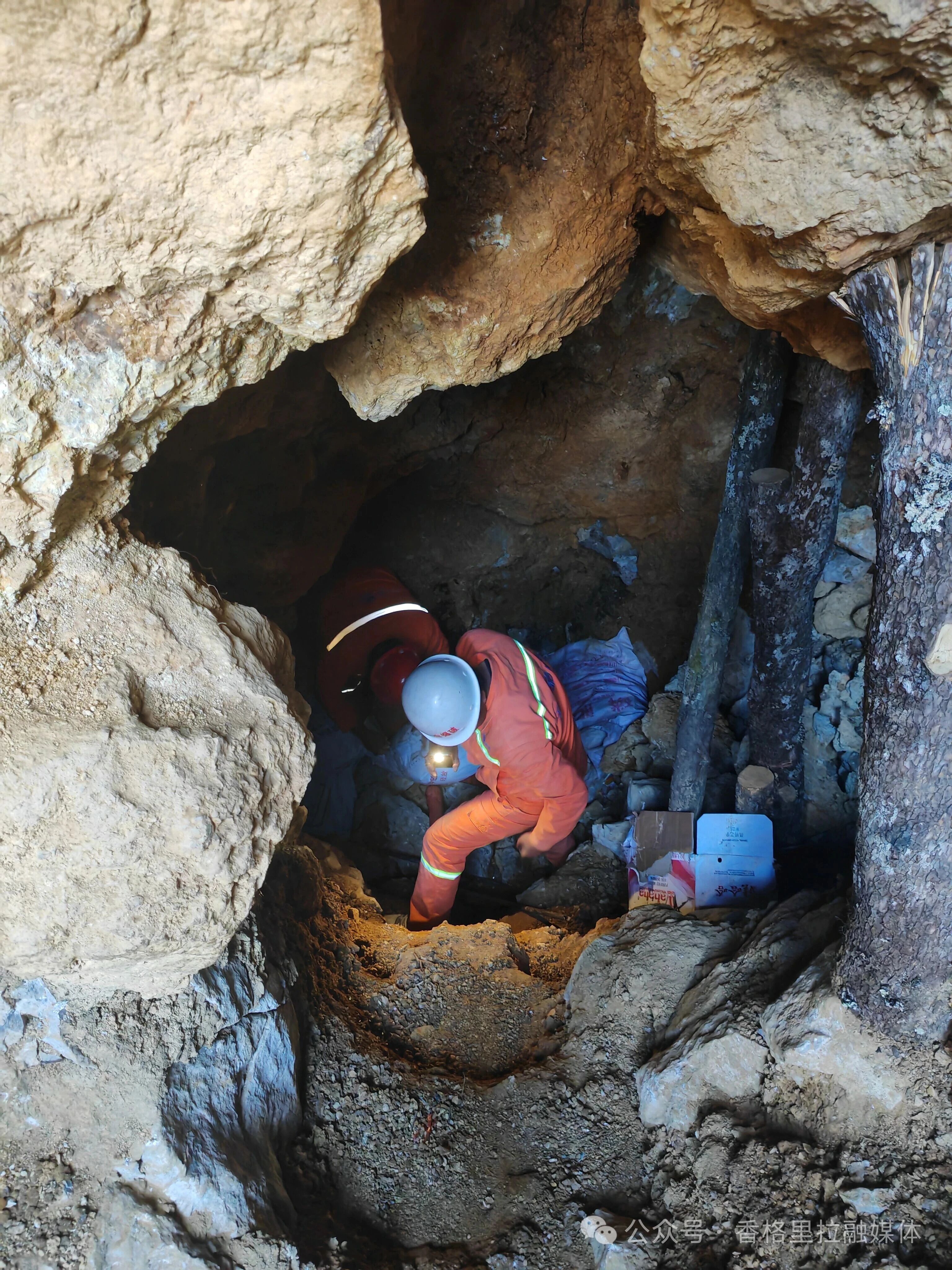 1769396157123097709.jpg 微信图片_2026-01-26_110303_457.jpg