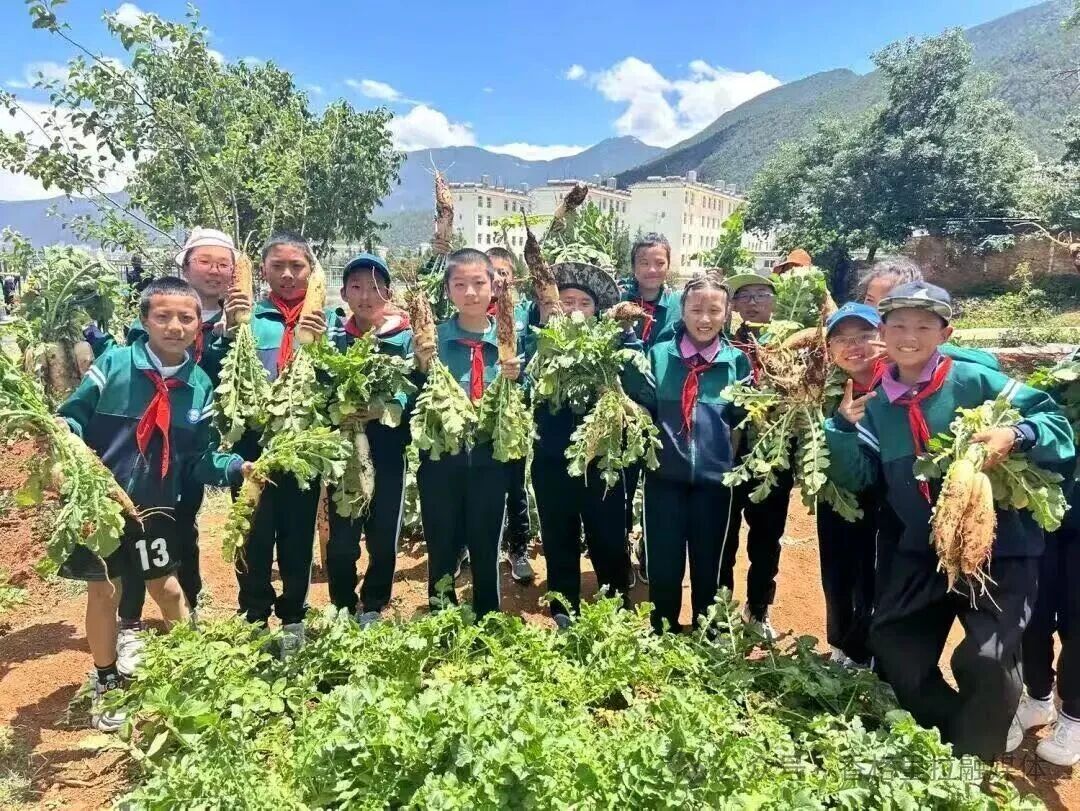 1769563490748028898.jpg 微信图片_2026-01-28_093418_528.jpg