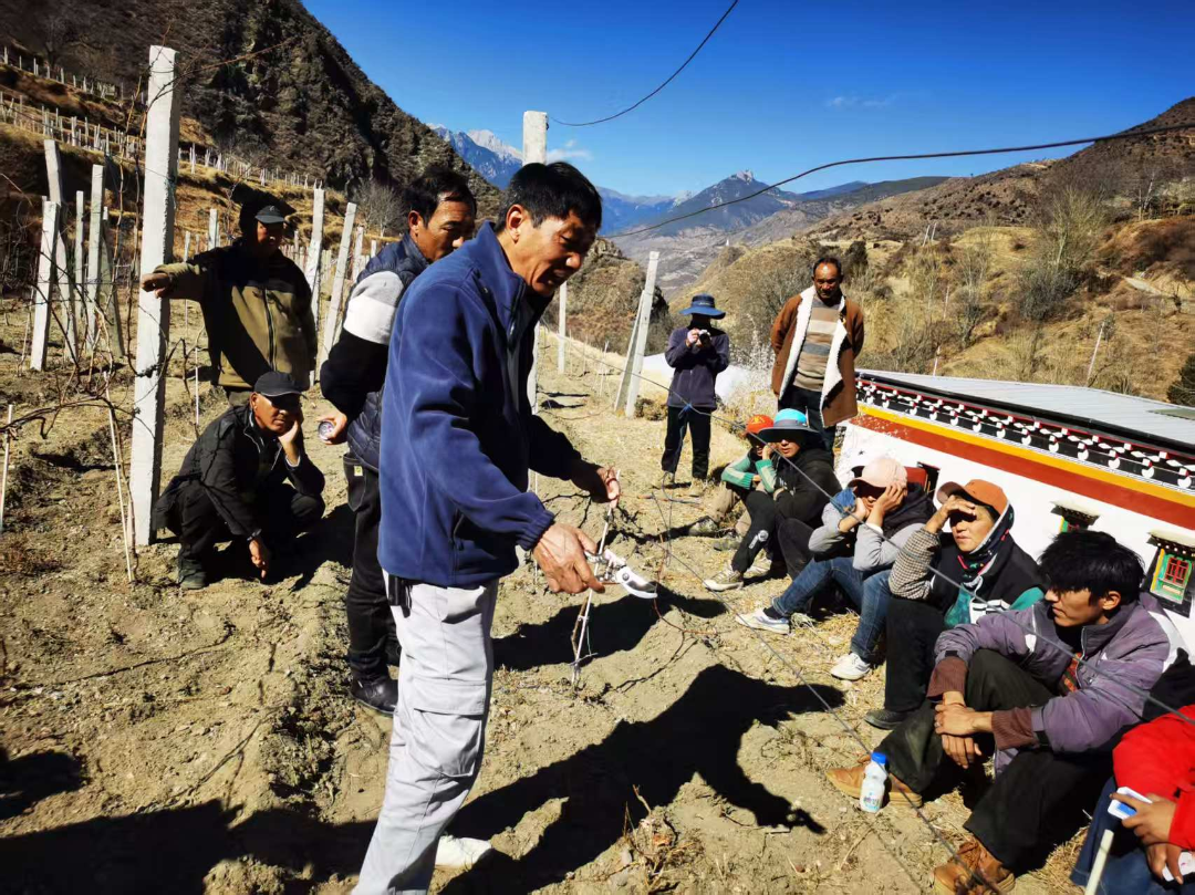 1769996076648035546.png 微信图片_2026-02-02_094430_042.png