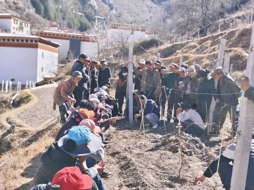 1769996092802089636.jpg 微信图片_2026-02-02_094433_357.jpg