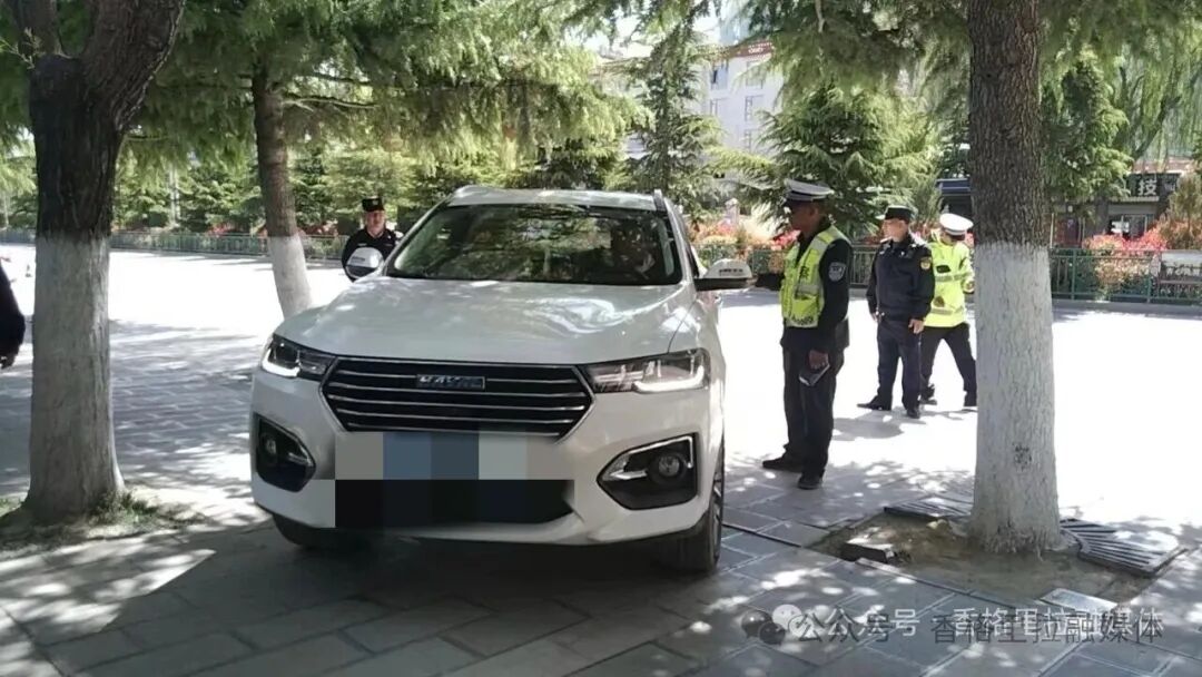 1770608300007003808.jpg 微信图片_2026-02-09_114806_791.jpg