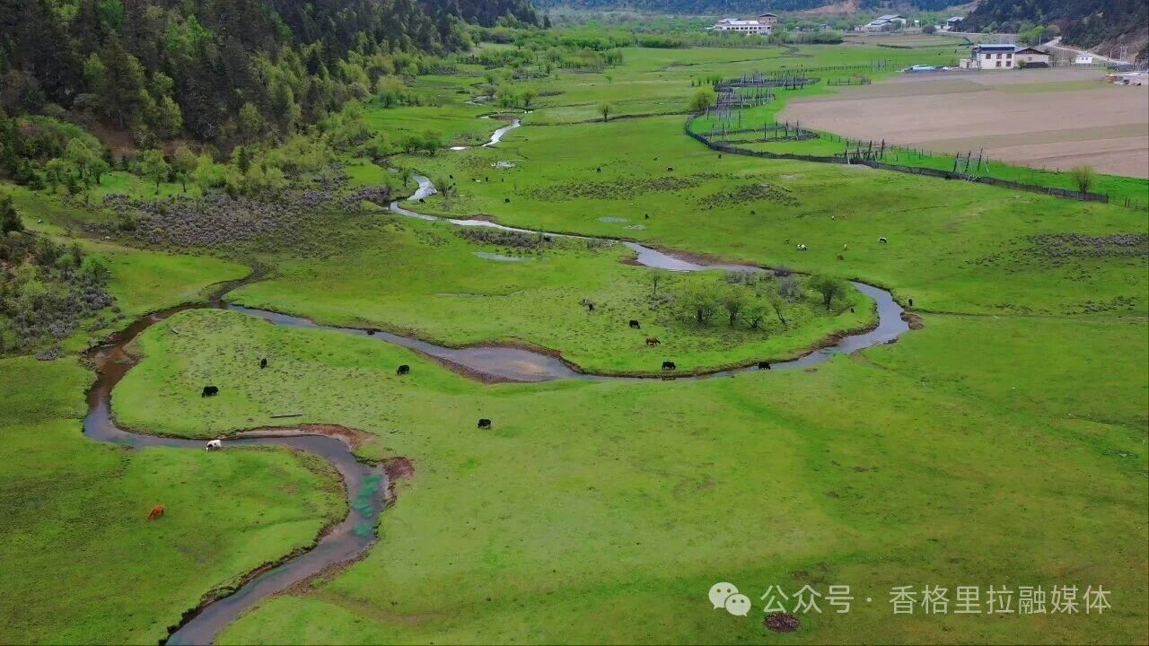 1771726580764019683.jpg 微信图片_2026-02-22_102606_493.jpg