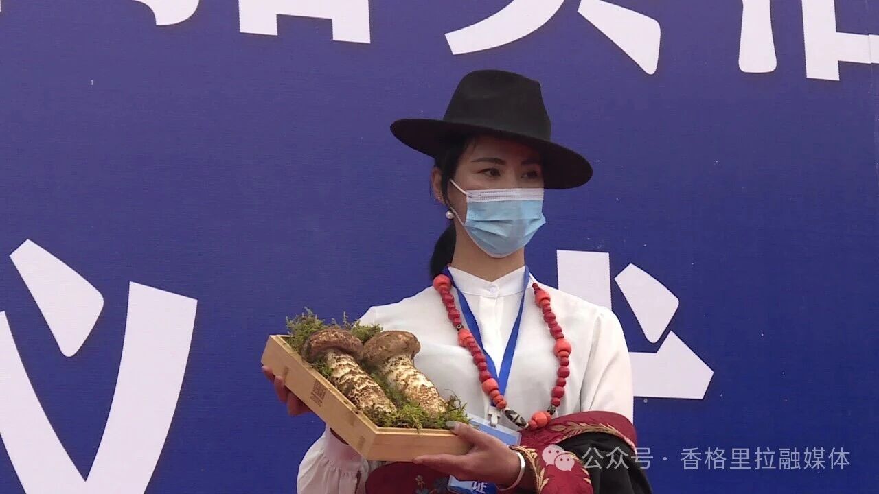 1771726615792015537.jpg 微信图片_2026-02-22_102612_452.jpg