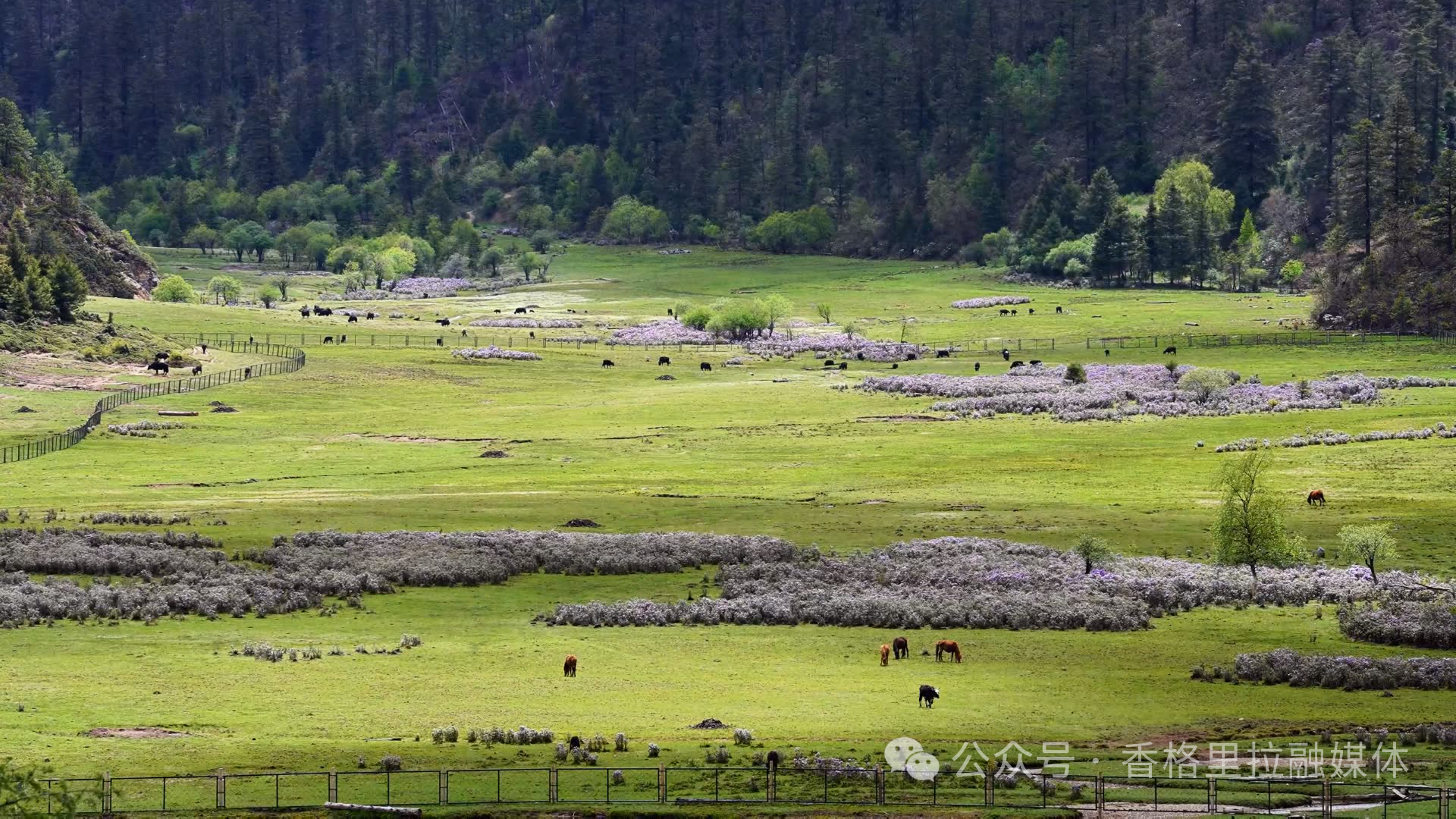 1771726629564040059.bmp 微信图片_2026-02-22_102615_380.bmp