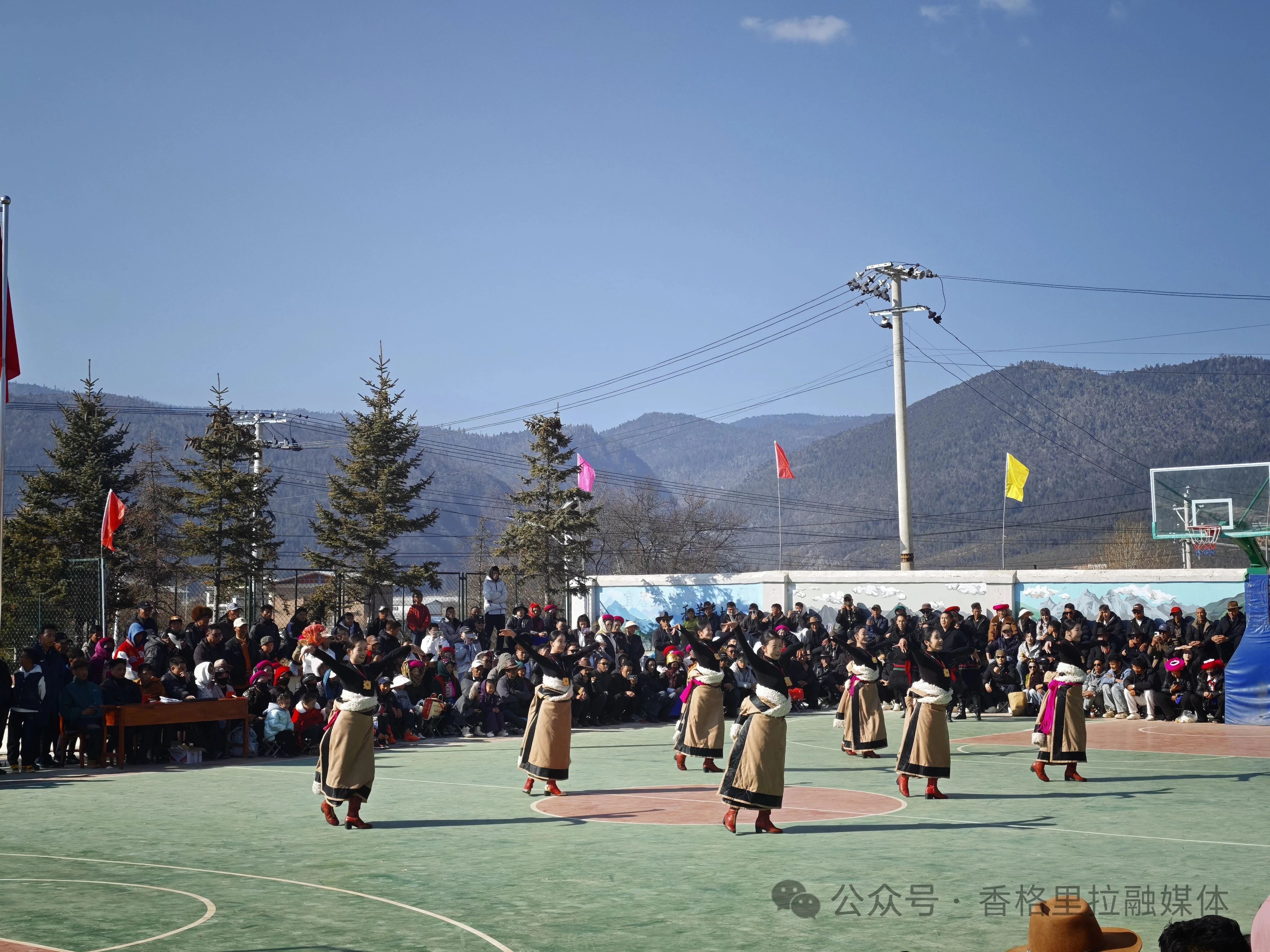 1771896590384033973.jpg 微信图片_2026-02-24_093941_064.jpg