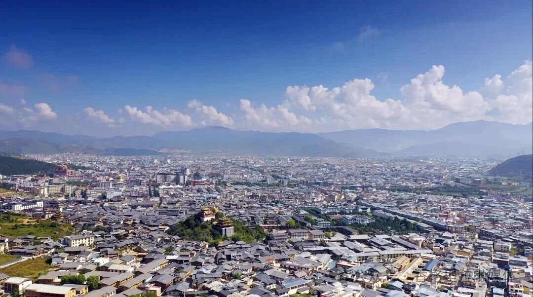 1772507587191013637.jpg 微信图片_2026-03-03_112239_719.jpg