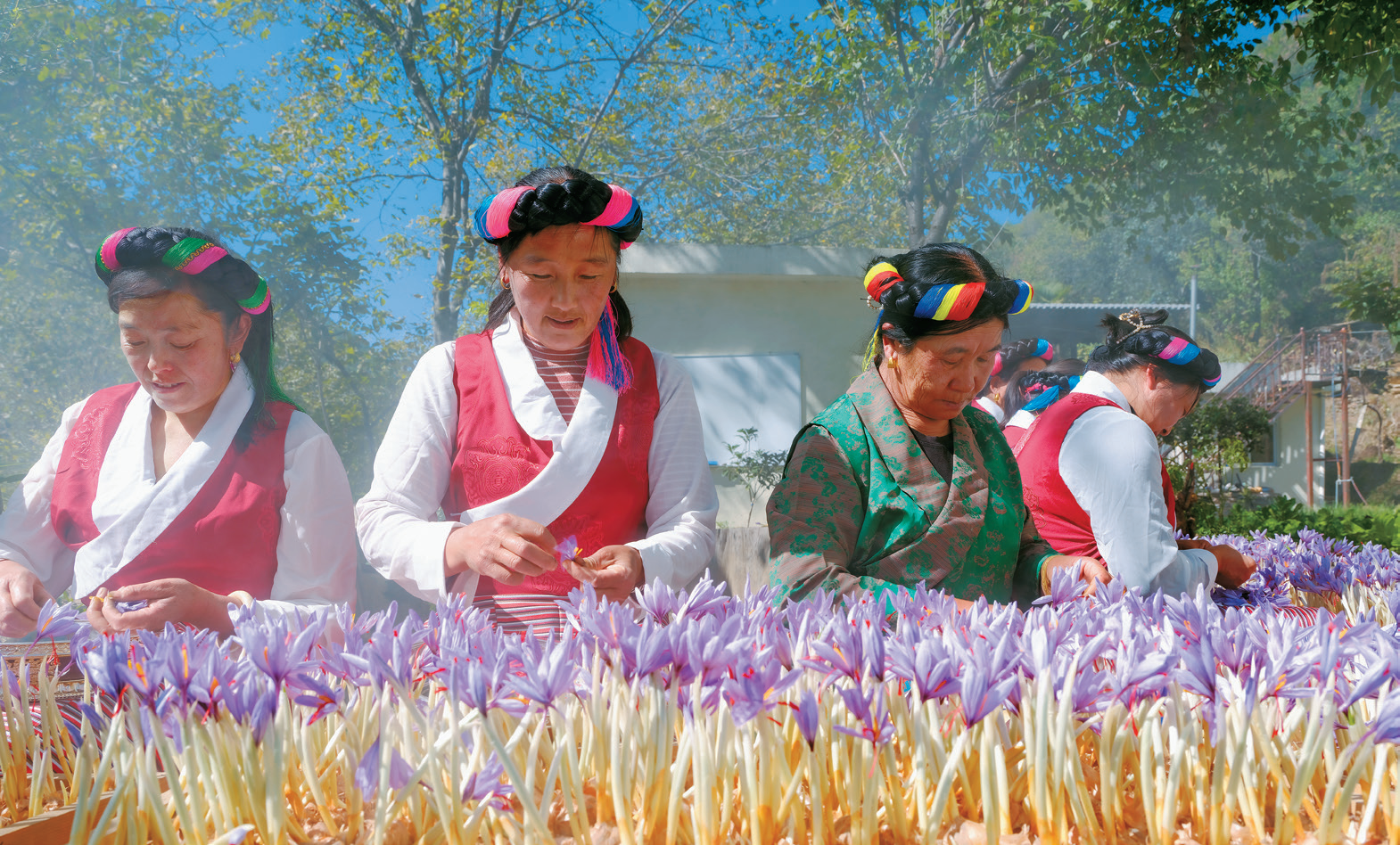 1772507719055051137.png 微信图片_2026-03-03_112441_798.png