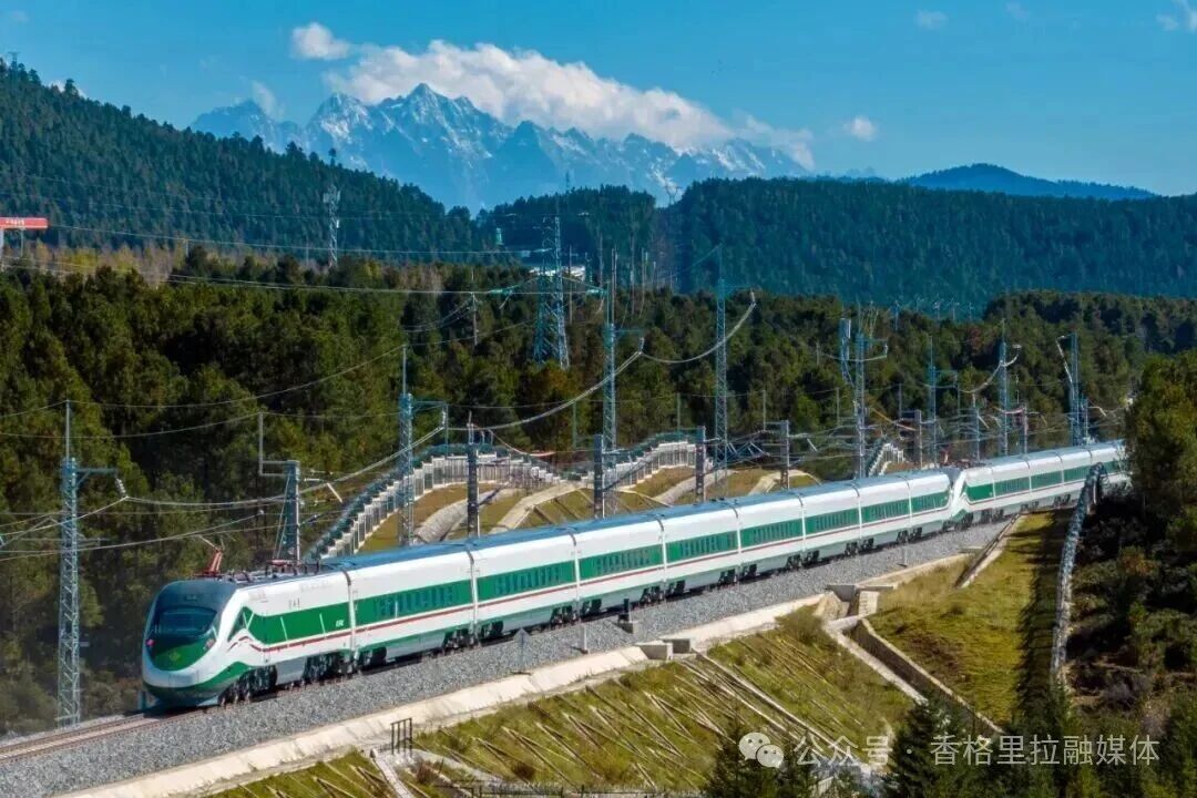 1772507744127081733.jpg 微信图片_2026-03-03_112448_426.jpg