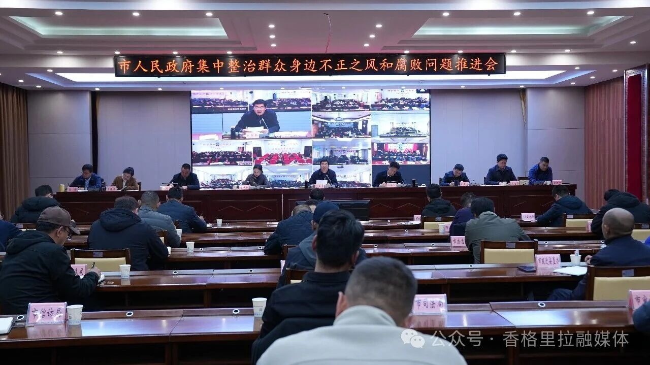 1772725283460059663.jpg 微信图片_2026-03-05_235132_952.jpg