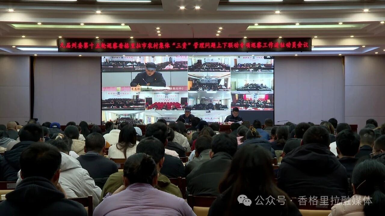 1772725346449081951.jpg 微信图片_2026-03-05_235231_353.jpg