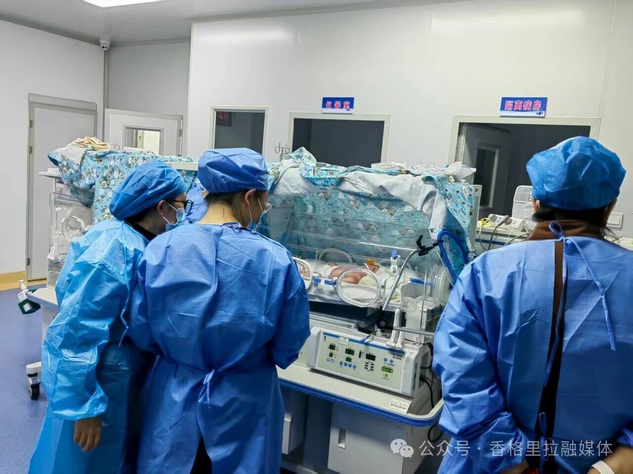 1772725576936045342.jpg 微信图片_2026-03-05_235611_997.jpg