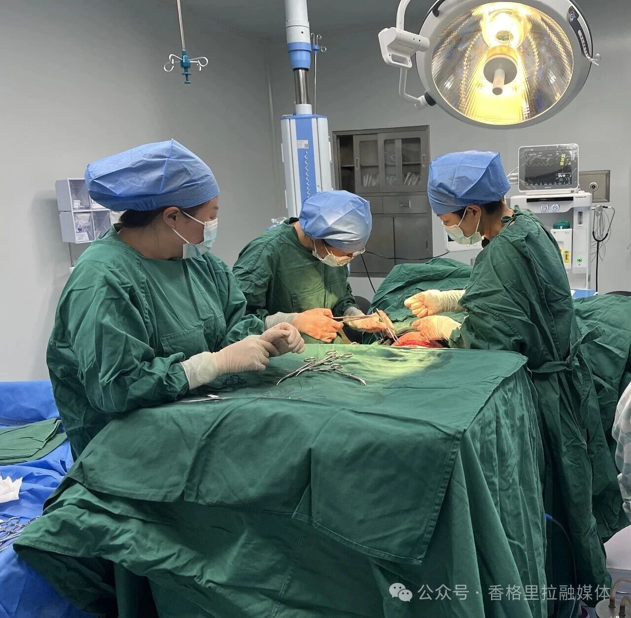 1772725598305054606.jpg 微信图片_2026-03-05_235614_941.jpg