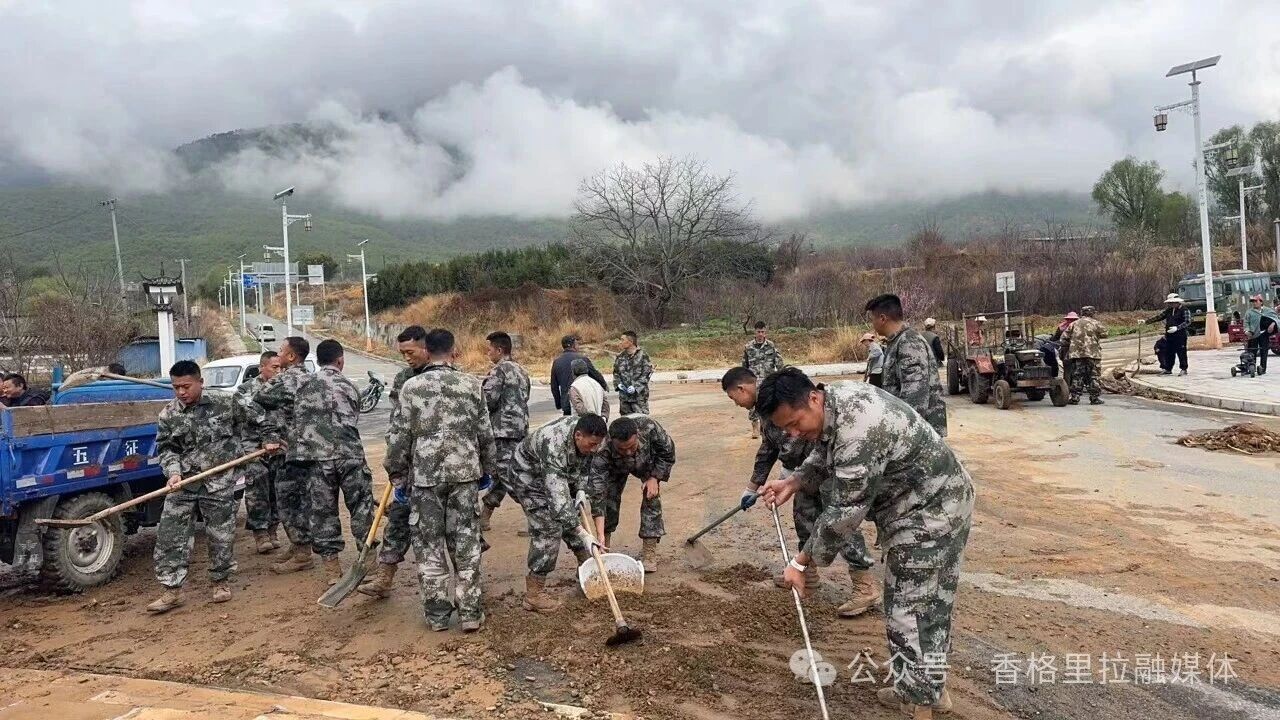 1773218503236067415.jpg 微信图片_2026-03-11_165148_433.jpg