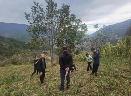 1670469522134045685.png image.png