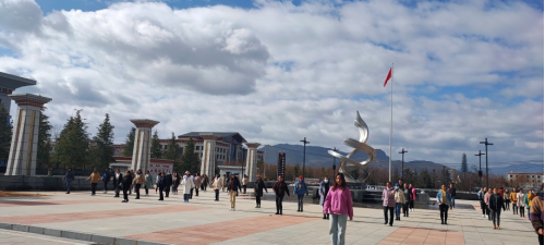 1703039598306086853.png image.png