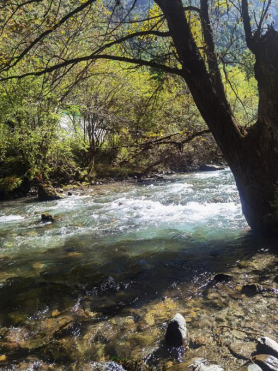 1703040362116001909.png image.png