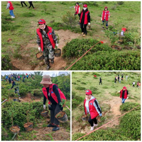 1690419556952078696.png image.png