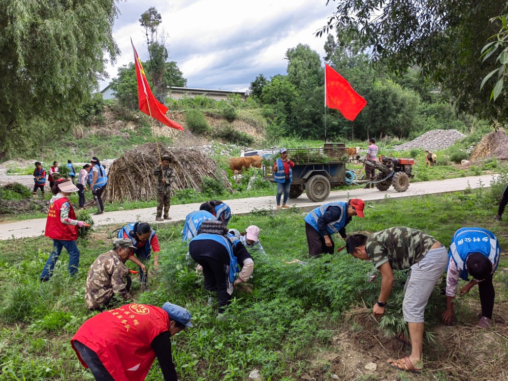 1655694183798060972.jpg 7d2f1d44e461612845f16916f0f2cf5.jpg