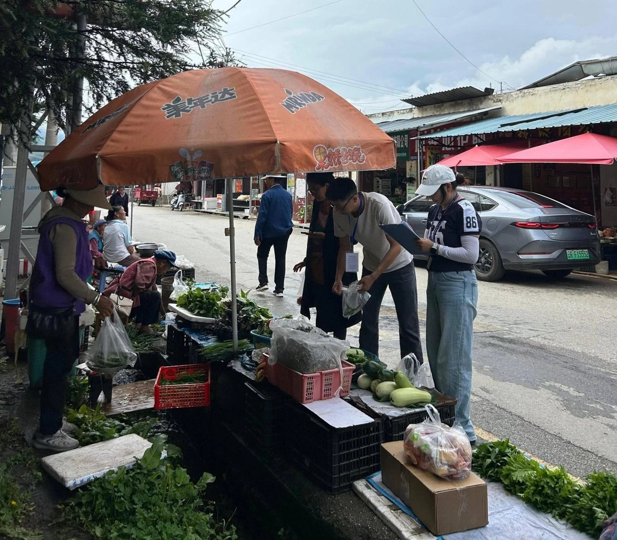 1755050011488057139.webp 8423b8f99d914a336231b0f0f3137bc5.webp