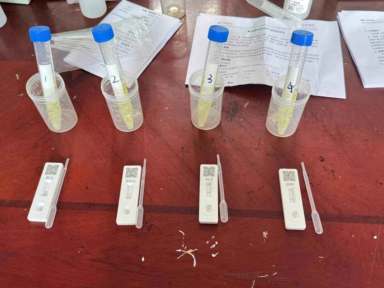 1755050060615010427.webp 99155e44772a67db104c772681754371.webp