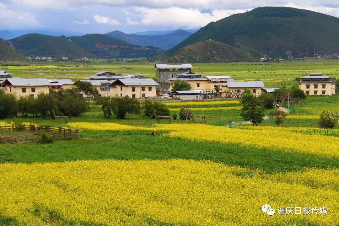 1701220545097028974.jpg 1701220527592002862.jpg