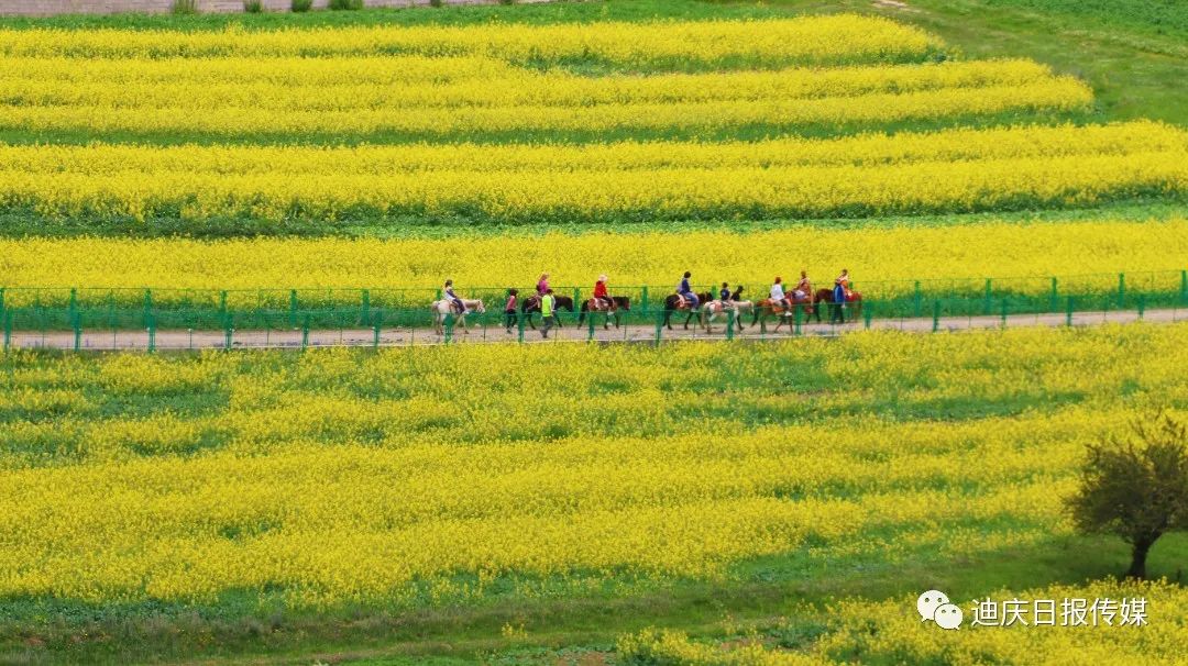 1701220550461073034.jpg 1701220531299038930.jpg