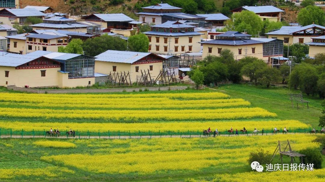 1701220555377055005.jpg 1701220534772022767.jpg