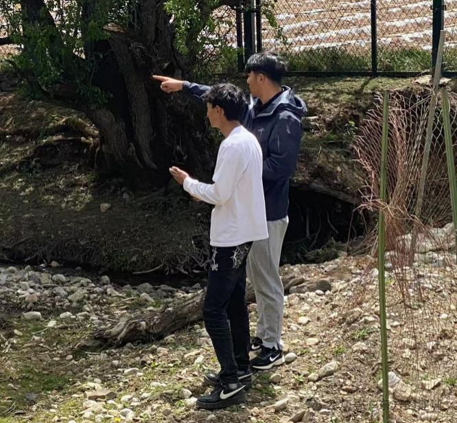 1749198651719014528.png 2dff67d7da688fd240ccc82446231872.png